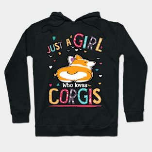 Just A Girl Who Loves Corgi (79) Hoodie